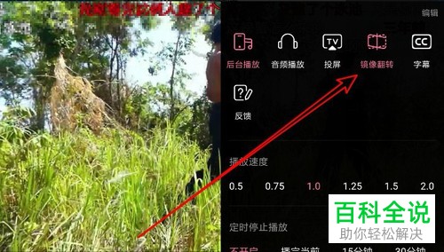 如何使用哔哩哔哩APP的视频镜像翻转功能
