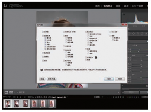 如何使用Lightroom批量处理照片