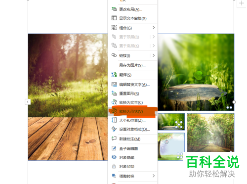 如何设置PPT文档图片版式