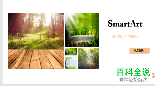 如何设置PPT文档图片版式