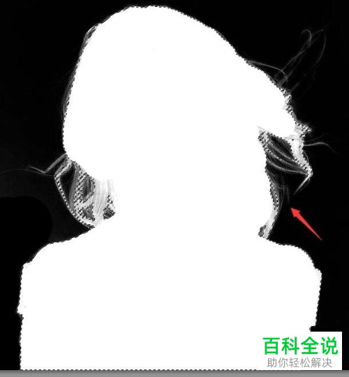 如何使用Photoshop软件抠头发丝？