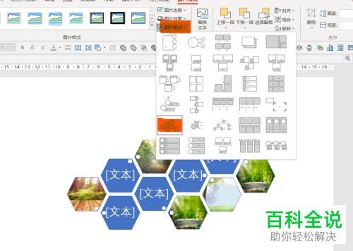 如何设置PPT文档图片版式