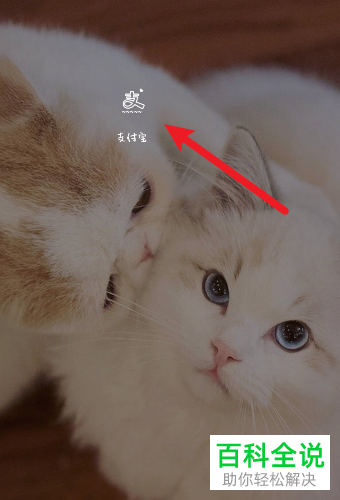 如何使用支付宝中的余额宝