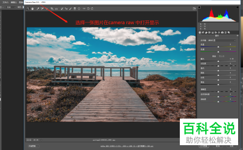 如何使用camera raw中的目标调整工具调整色彩