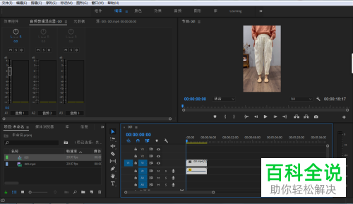 如何设置pr中视频的音量大小？