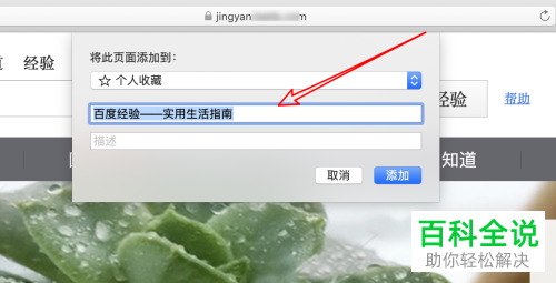 如何使用mac电脑，浏览器收藏网页？