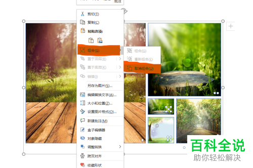 如何设置PPT文档图片版式