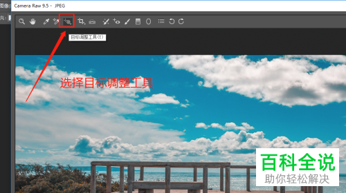 如何使用camera raw中的目标调整工具调整色彩