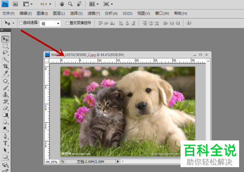 如何使用PS中的切片工具将图片切割