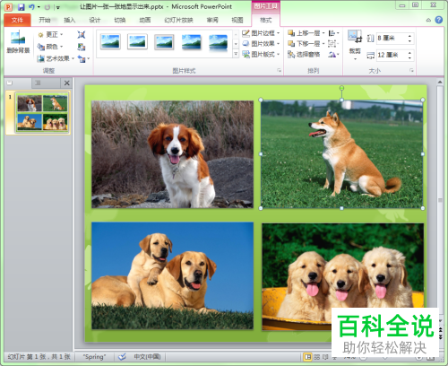 如何设置PPT文档中的图片显示顺序