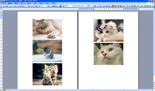 如何统一word中图片大小