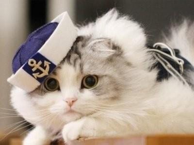 如何统一word中图片大小