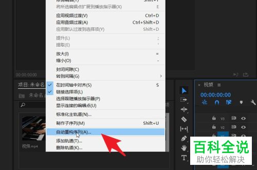 如何通过Pr将横屏视频转换为竖屏