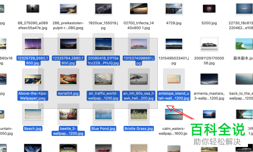 如何同时选中mac苹果电脑中的多个文件