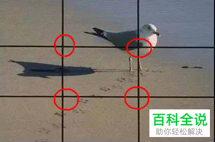 如何提升手机拍照水平？