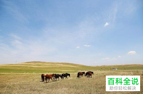 如何提升手机拍照水平？