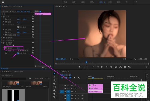 如何通过Pr给视频添加轨道遮罩、高斯模糊效果