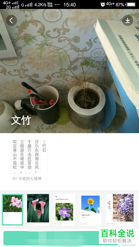 如何通过形色app识别花草树木？