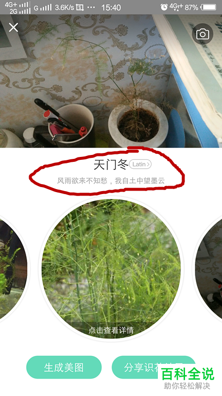 如何通过形色app识别花草树木？