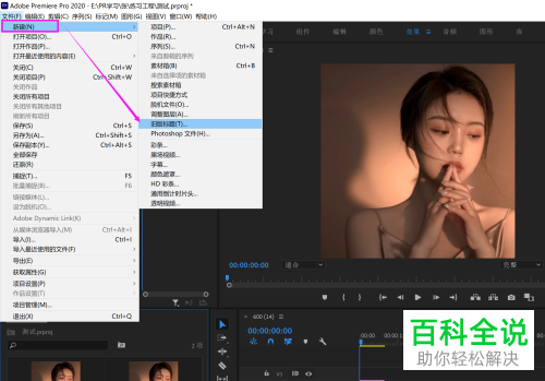 如何通过Pr给视频添加轨道遮罩、高斯模糊效果