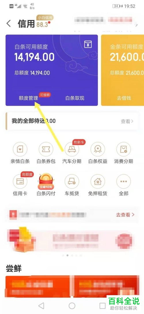 如何提升京东白条的借款额度