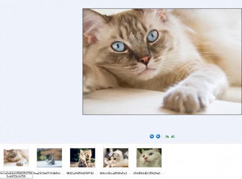 如何统一word中图片大小
