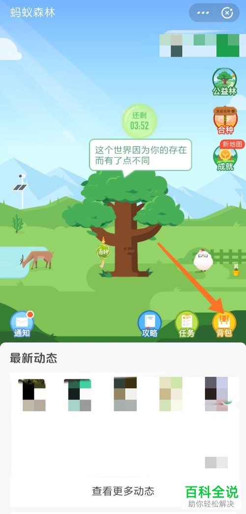 如何通过支付宝会员积分兑换蚂蚁森林能量保护罩