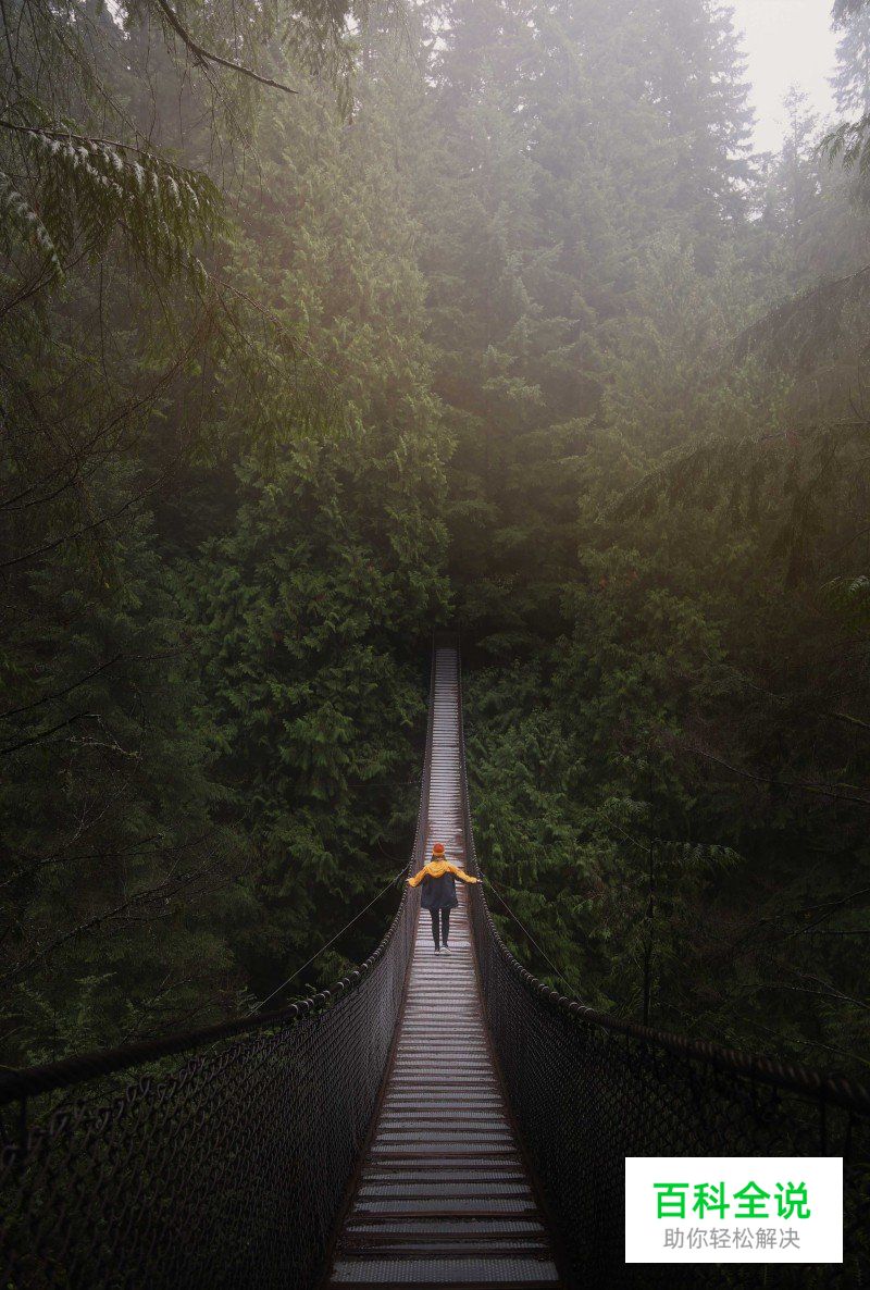 如何通过构图增强作品的视觉吸引力