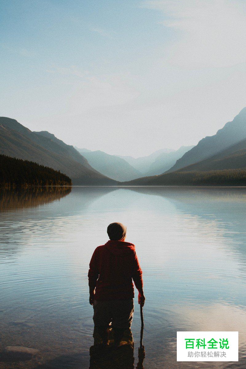 如何通过构图增强作品的视觉吸引力