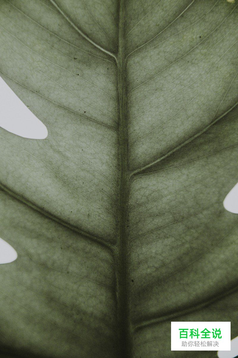 如何通过构图增强作品的视觉吸引力