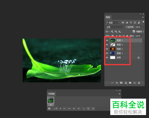 如何通过PS软件把几张图片做成动画图？