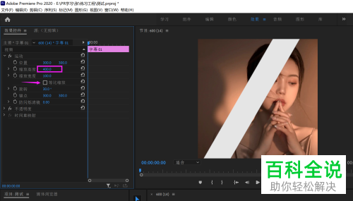 如何通过Pr给视频添加轨道遮罩、高斯模糊效果