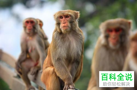 如何提升手机拍照水平？