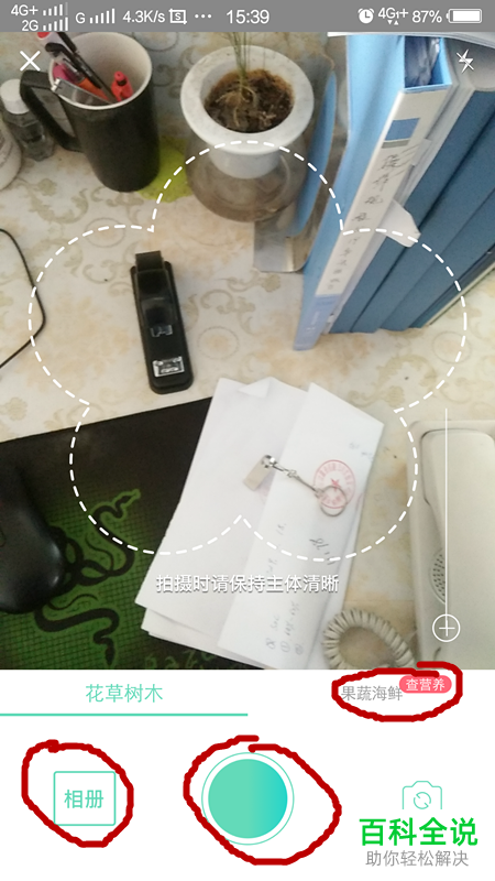 如何通过形色app识别花草树木？