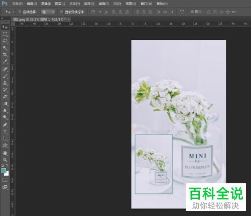 如何通过PS给图片添加缩略图