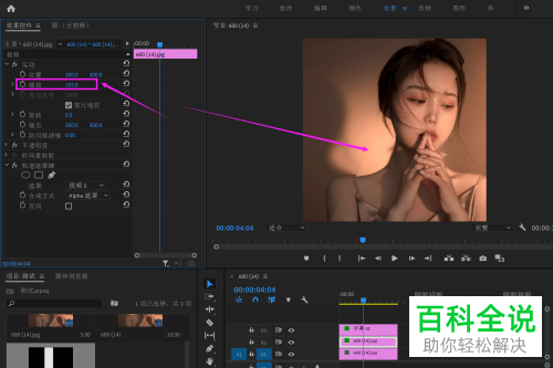 如何通过Pr给视频添加轨道遮罩、高斯模糊效果
