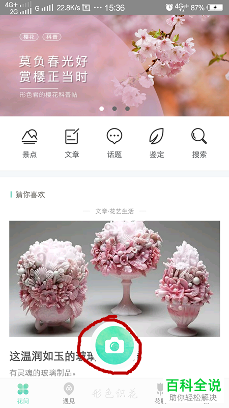 如何通过形色app识别花草树木？