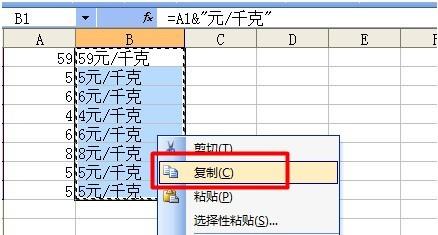 如何为Excel批量加前缀或后缀