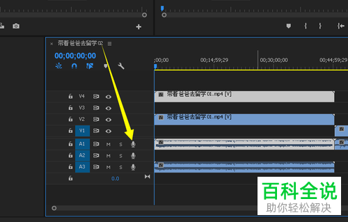 如何修复PR导出视频无声音的问题