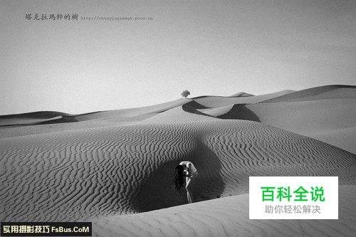 如何选择最适合自己的摄影器材