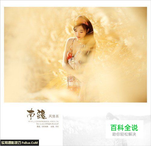 如何选择最适合自己的摄影器材