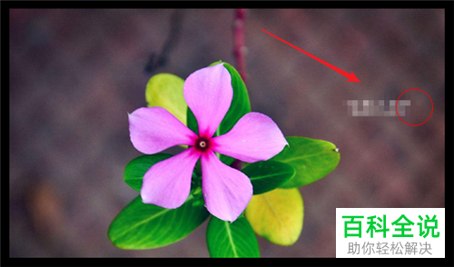 如何用美图秀秀在图片中加上马赛克?