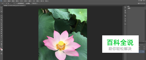 如何用PS软件抠图？这个方法很简单