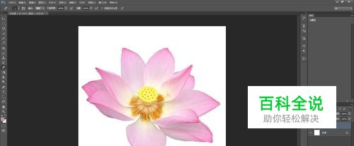 如何用PS软件抠图？这个方法很简单