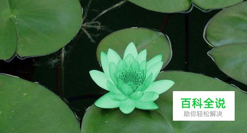 如何用PS给图片换色？