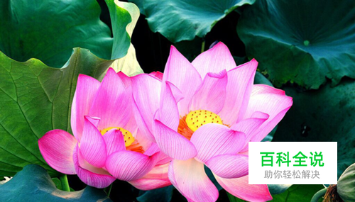 如何用Photoshop将图片转成水墨画