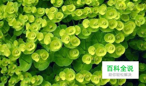 如何用PS复制粘贴图片部分内容