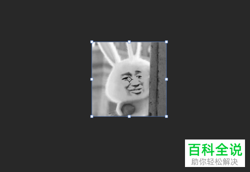 如何用PS将图片制作GIF动图