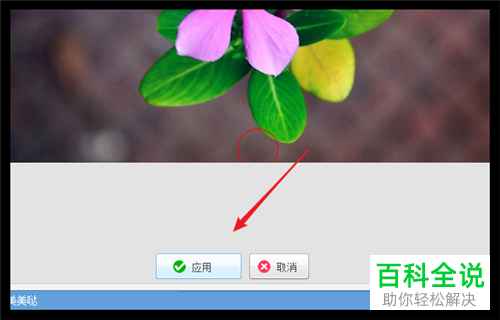 如何用美图秀秀在图片中加上马赛克?