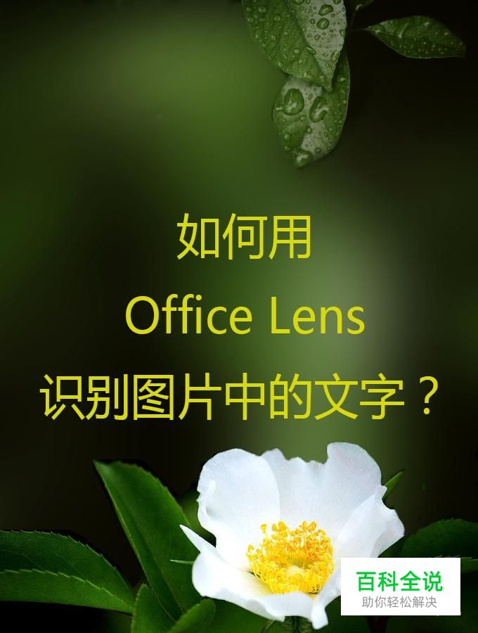 如何用 Office Lens 识别图片中的文字？